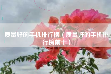 质量好的手机排行榜（质量好的手机排行榜前十）