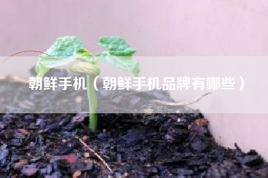 朝鲜手机（朝鲜手机品牌有哪些）