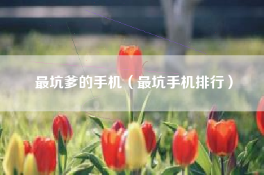 最坑爹的手机（最坑手机排行）