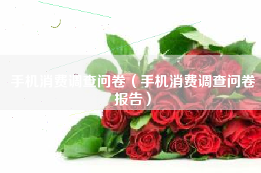 手机消费调查问卷（手机消费调查问卷报告）