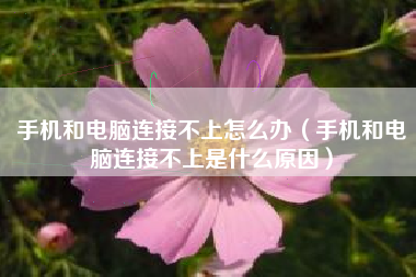 手机和电脑连接不上怎么办（手机和电脑连接不上是什么原因）