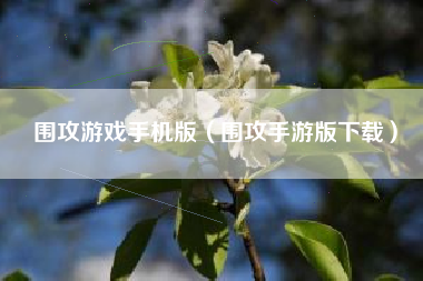 围攻游戏手机版（围攻手游版下载）