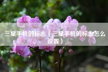 三星手机的标志（三星手机的标志怎么设置）