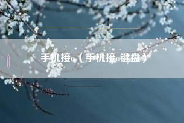 手机接u（手机接u键盘）
