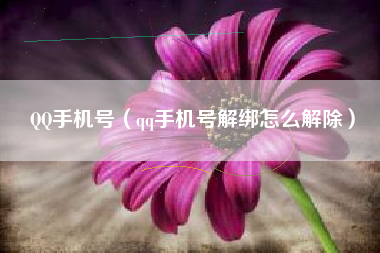 QQ手机号（qq手机号解绑怎么解除）