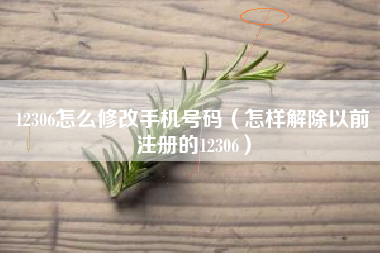 12306怎么修改手机号码（怎样解除以前注册的12306）