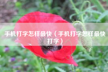 手机打字怎样最快（手机打字怎样最快打字）