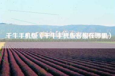 千牛手机版（千牛手机版客服在哪里）