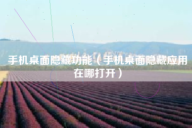 手机桌面隐藏功能（手机桌面隐藏应用在哪打开）