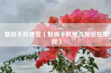 魅族手机便签（魅族手机便签加密在哪找）