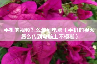 手机的视频怎么传到电脑（手机的视频怎么传到电脑上不模糊）