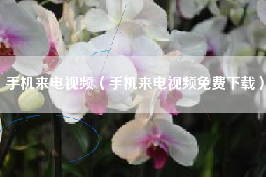 手机来电视频（手机来电视频免费下载）
