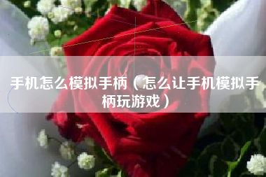 手机怎么模拟手柄（怎么让手机模拟手柄玩游戏）