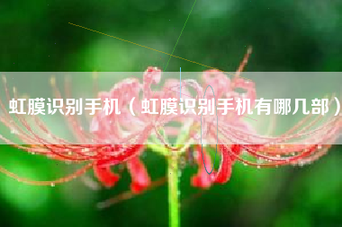 虹膜识别手机（虹膜识别手机有哪几部）