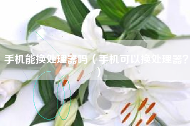 手机能换处理器吗（手机可以换处理器？）