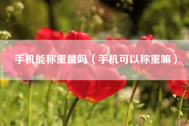 手机能称重量吗（手机可以称重嘛）