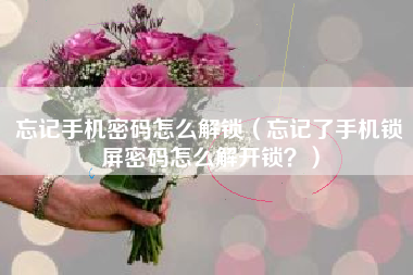 忘记手机密码怎么解锁（忘记了手机锁屏密码怎么解开锁？）