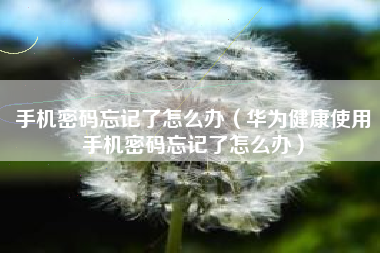 手机密码忘记了怎么办（华为健康使用手机密码忘记了怎么办）