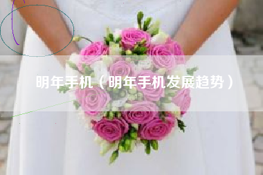 明年手机（明年手机发展趋势）