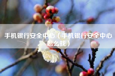 手机银行安全中心（手机银行安全中心怎么找）
