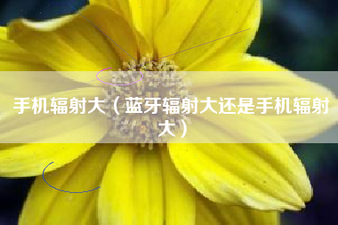 手机辐射大（蓝牙辐射大还是手机辐射大）
