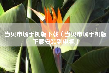 当贝市场手机版下载（当贝市场手机版下载安装到电视）