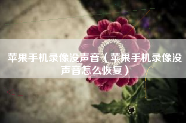 苹果手机录像没声音（苹果手机录像没声音怎么恢复）