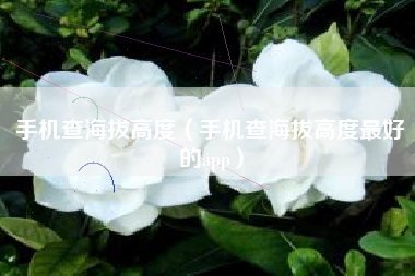手机查海拔高度（手机查海拔高度最好的app）