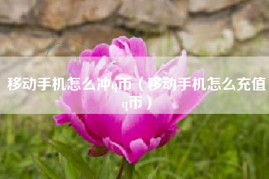 移动手机怎么冲q币（移动手机怎么充值q币）