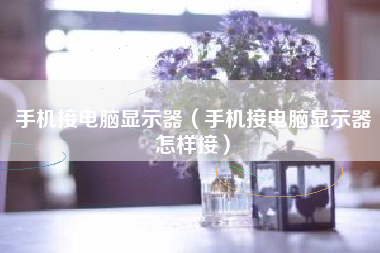 手机接电脑显示器（手机接电脑显示器怎样接）