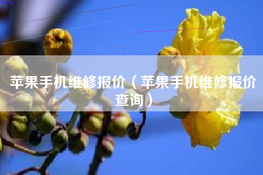 苹果手机维修报价（苹果手机维修报价查询）