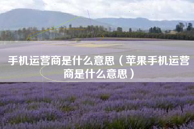 手机运营商是什么意思（苹果手机运营商是什么意思）