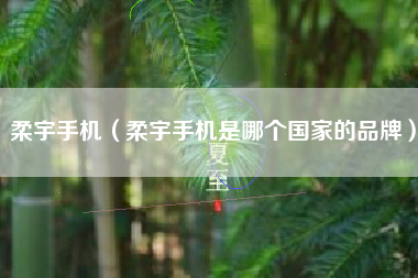 柔宇手机（柔宇手机是哪个国家的品牌）