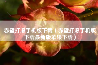 赤壁打滚手机版下载（赤壁打滚手机版下载最新版苹果下载）