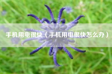 手机用电很快（手机用电很快怎么办）