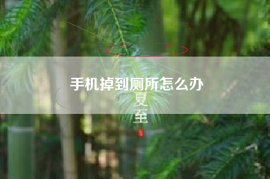 手机掉到厕所怎么办