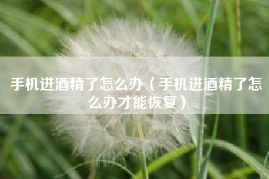 手机进酒精了怎么办（手机进酒精了怎么办才能恢复）