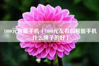 1000元智能手机（1000元左右的智能手机什么牌子的好）