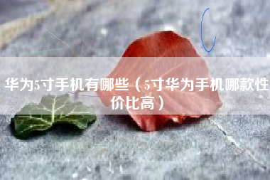华为5寸手机有哪些（5寸华为手机哪款性价比高）