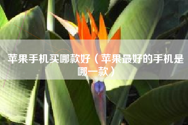 苹果手机买哪款好（苹果最好的手机是哪一款）