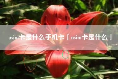 usim卡是什么手机卡「usim卡是什么」
