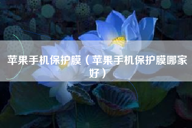 苹果手机保护膜（苹果手机保护膜哪家好）