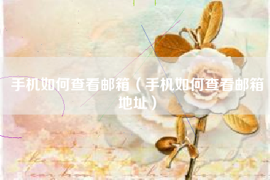 手机如何查看邮箱（手机如何查看邮箱地址）