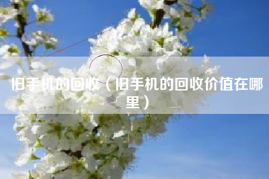 旧手机的回收（旧手机的回收价值在哪里）