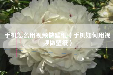 手机怎么用视频做壁纸（手机如何用视频做壁纸）
