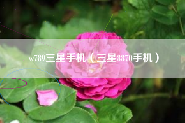 w789三星手机（三星8870手机）