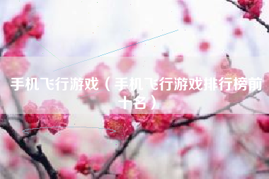 手机飞行游戏（手机飞行游戏排行榜前十名）