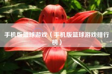 手机版篮球游戏（手机版篮球游戏排行榜）