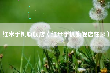 红米手机旗舰店（红米手机旗舰店在哪）