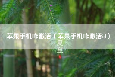 苹果手机咋激活（苹果手机咋激活id）